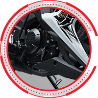 New Sporty Undercowl