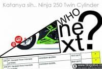 KawasakiNinja250DuaSilinder28illust29