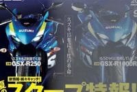 SuzukiGSX-R250