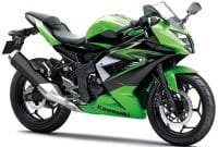 KawasakiNinja250MonoLimeGray