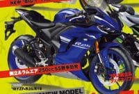 YamahaR252017