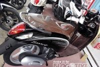HondaScoopy Honda Scoopy 2017 di Dealer Motor Gunungkidul