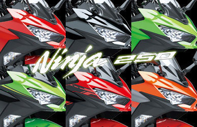 Pilihan Warna Kawasaki Ninja 250