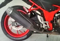 Black Jack Ganti Ban Premio Sportivo