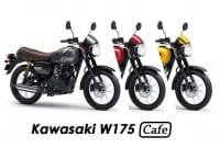 Pilihan Warna W175 Cafe Pilihan Warna W175 Cafe