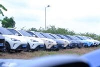 _MG_0507 Gelar Customer Gathering di Awal Tahun 2025, NETA mengajak konsumen setia NETA Menanam Bibit Pohon Mahoni di Sentul