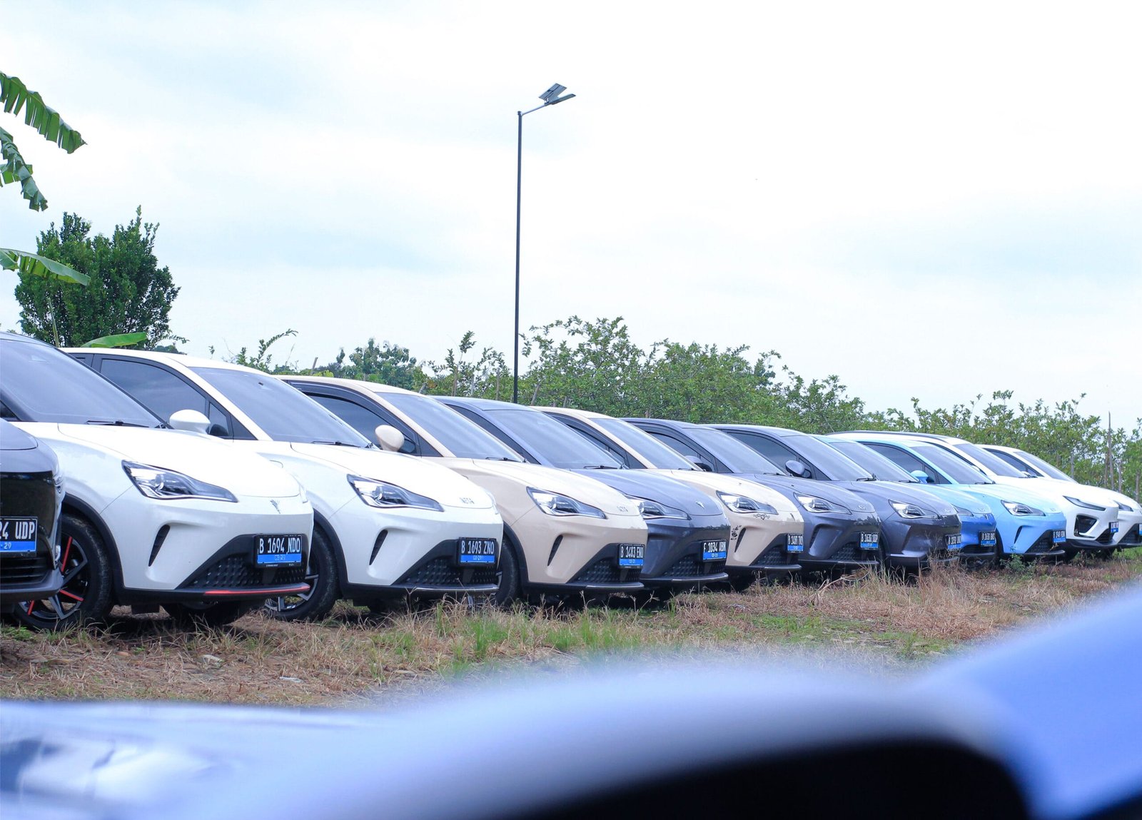 Gelar Customer Gathering di Awal Tahun 2025, NETA mengajak konsumen setia NETA Menanam Bibit Pohon Mahoni di Sentul