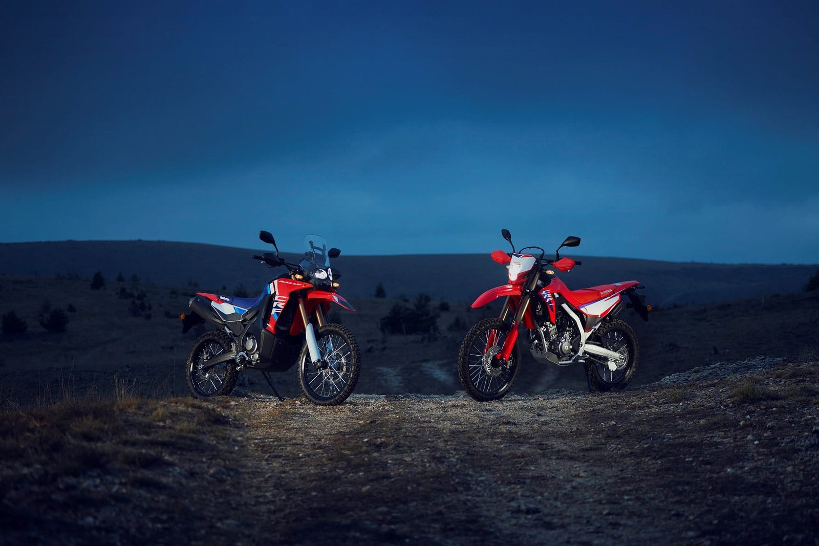 Hadirkan Sensasi Petualangan Baru, CRF250 Series Siap Jelajahi Indonesia